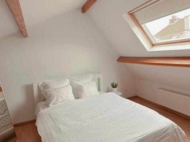 Maison location à Antwerpen