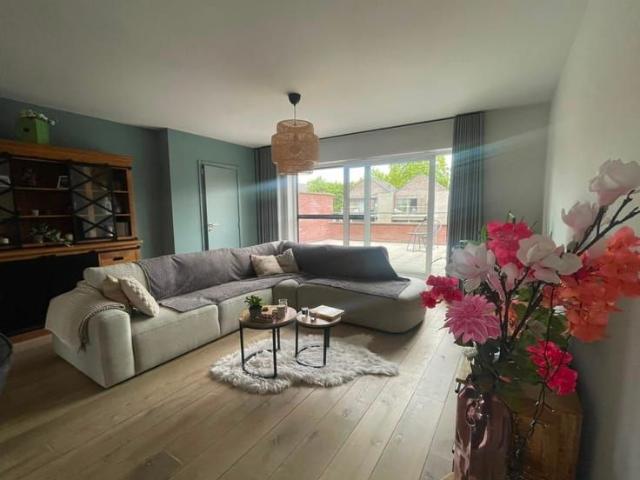 Maison location à Neerpelt, Limburg