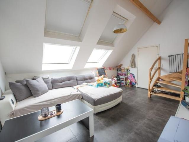 Maison location à Zulte, Oost-Vlaanderen