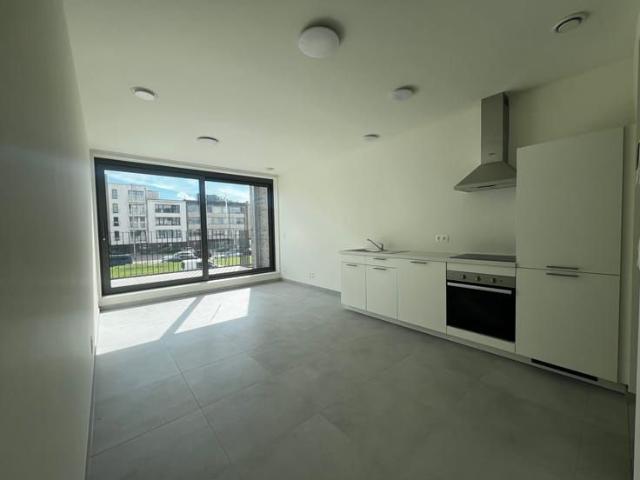 Maison location à Antwerpen