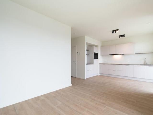Maison location à Antwerpen