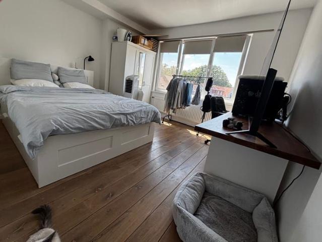 Maison location à Antwerpen