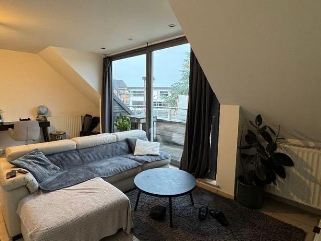 Appartement location à Berlare, Oost-Vlaanderen