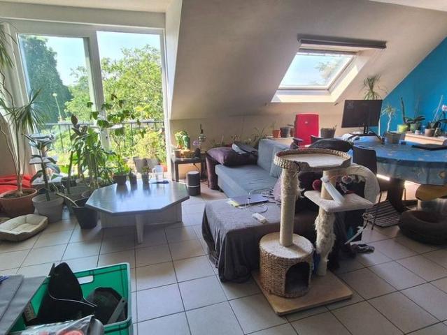 Appartement location à Desteldonk, Oost-Vlaanderen