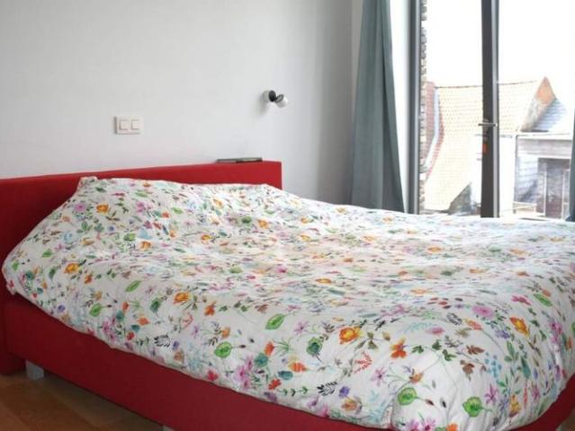 Appartement location à Audenarde, Oost-Vlaanderen