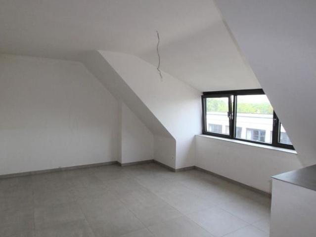 Appartement location à Montaigu-zichem, Brabant