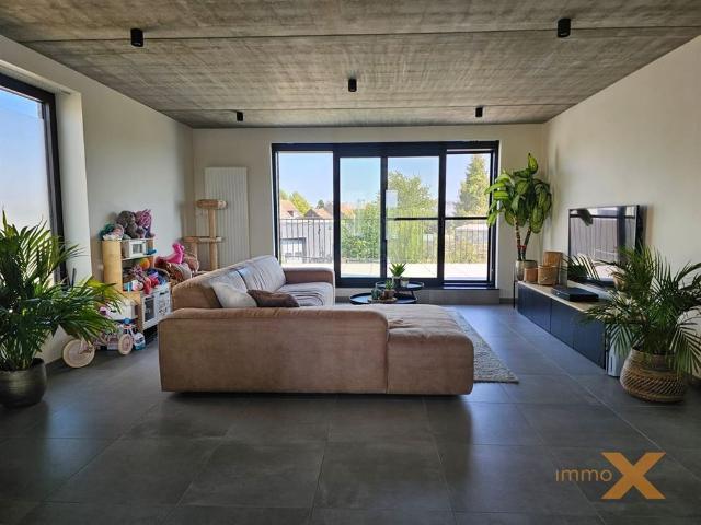 Maison location à Lovendegem, Oost-Vlaanderen