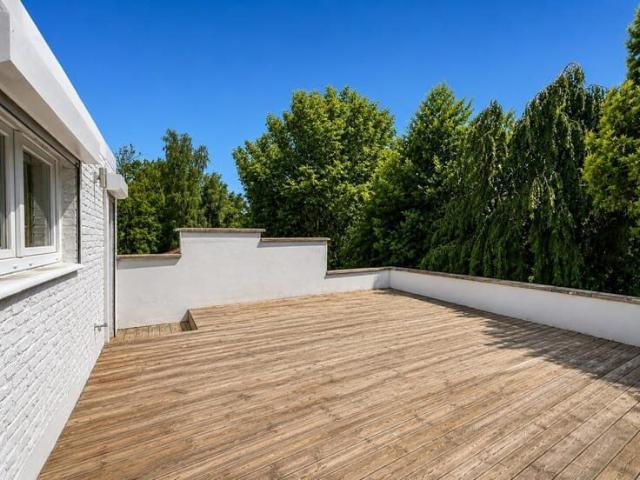 Appartement location à Halle, Brabant