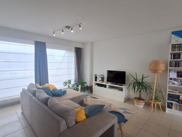 Appartement location à Poperinge, West-Vlaanderen