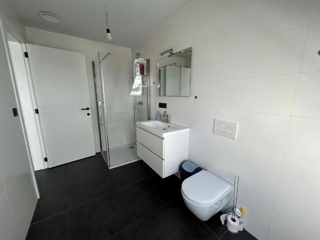 Appartement location à Lille, Antwerpen