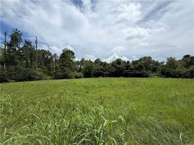 Land for sale in Pineville, Louisiana