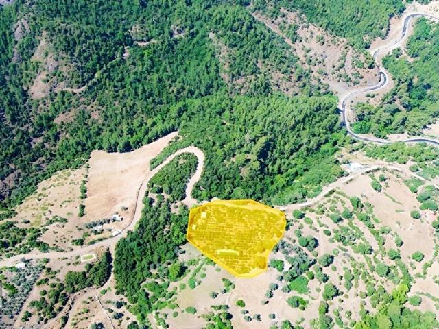 Kumluca içerisinde satılık mülk