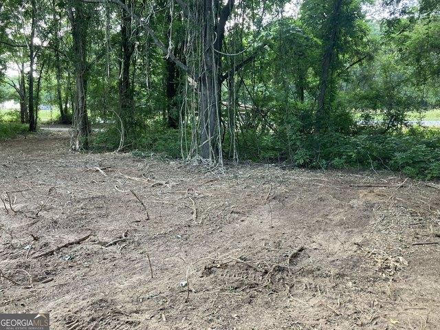 Land for sale in Warm Springs, Georgia