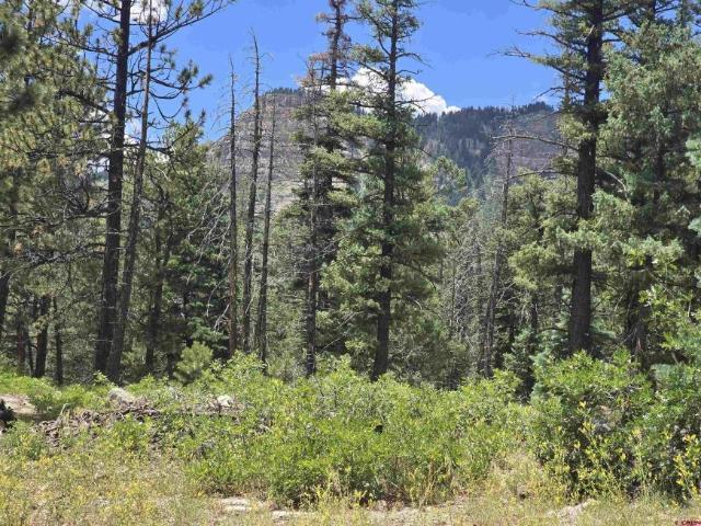 Land for sale in Durango