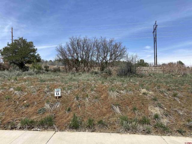 Land for sale in Durango