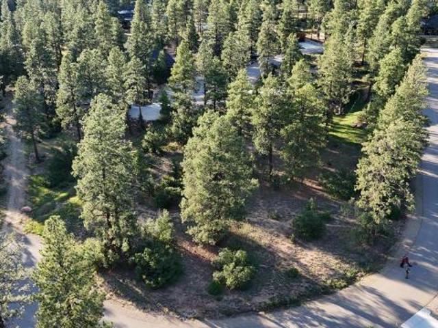 Land for sale in Durango