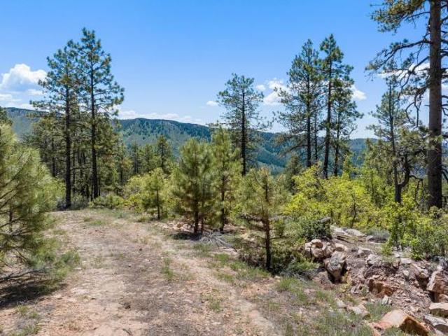 Land for sale in Durango