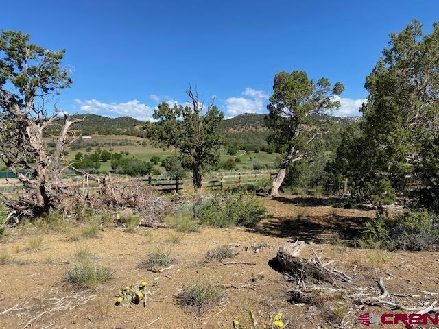 Land for sale in Durango