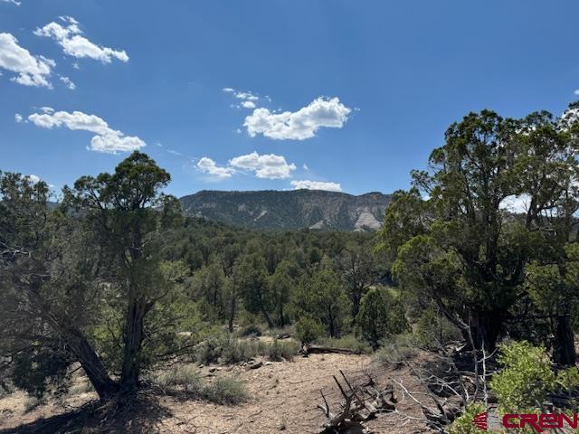 Land for sale in Durango