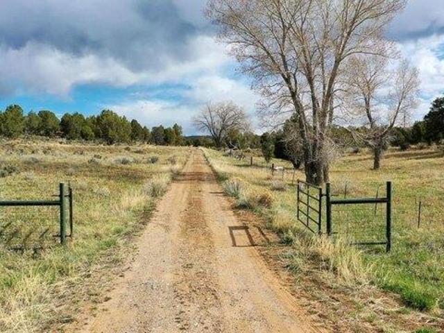Land for sale in Durango