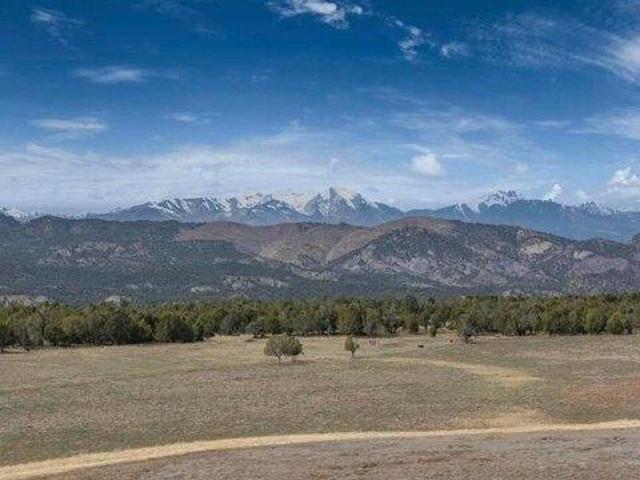 Land for sale in Durango