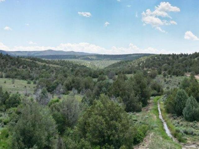 Land for sale in Durango