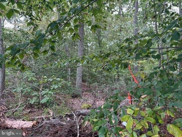 Land for sale in Lusby, Maryland