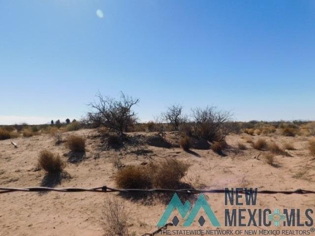 Land for sale in Luna, New Mexico