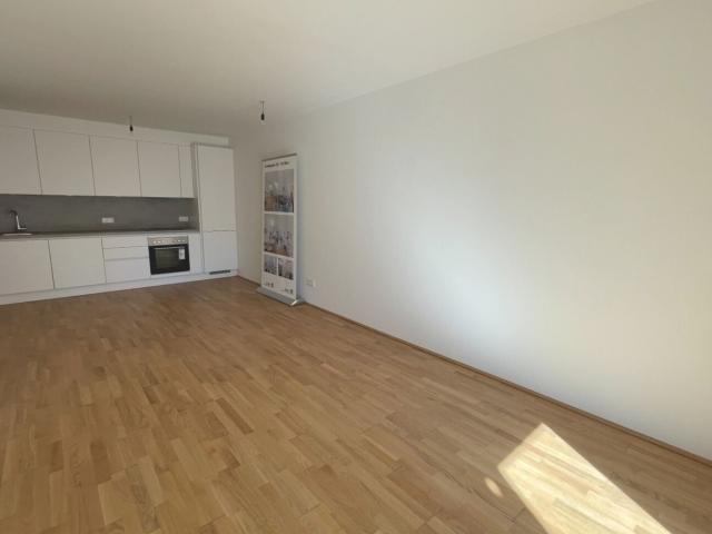 Wohnung kaufen in Seestadt, Wien
