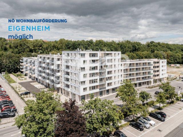 Apartment kaufen in Weitern, St. Pölten