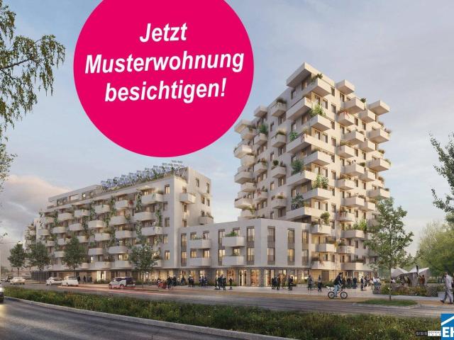 Apartment mieten in Donaustadt, Wien