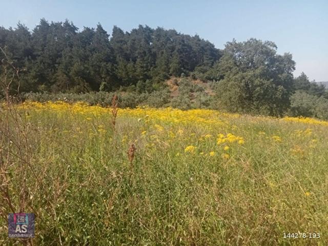 Gemlik, Bursa içerisinde satılık Arsa