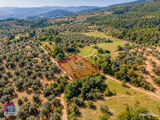 Dürdane Mahallesi, Osmangazi içerisinde satılık Arsa