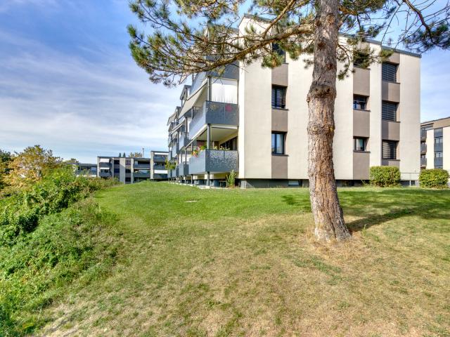Apartment mieten in Münsingen, Bern