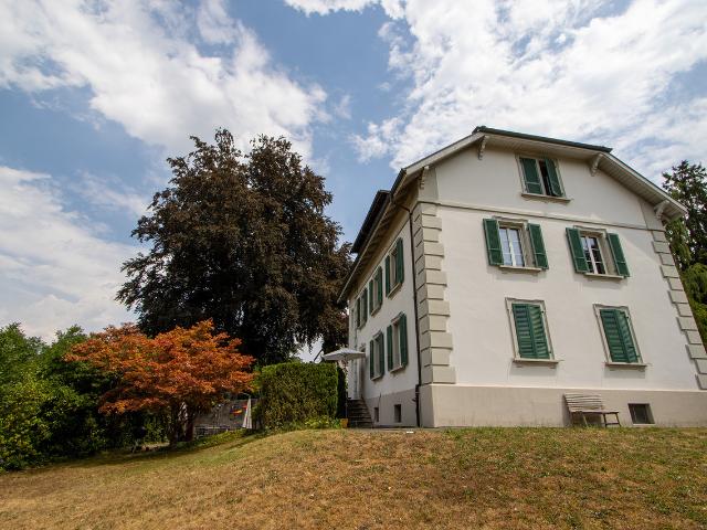 Wohnung mieten in Büren an der Aare, Bern