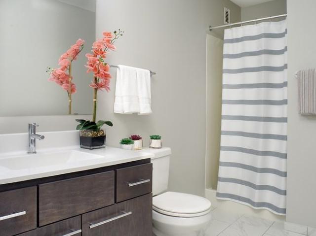 Apartment for rent in Hennepin, Minnesota