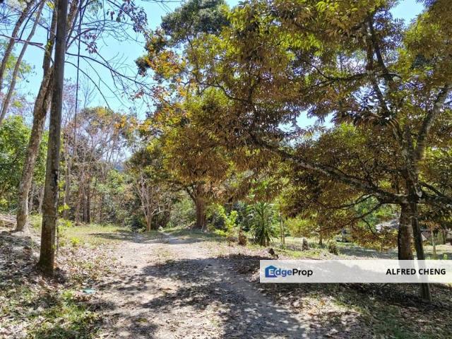 Shop for sale in Kuala Muda, Kedah