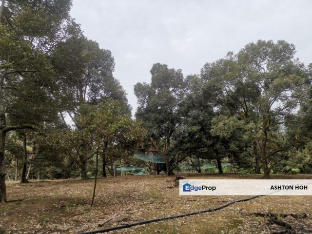 Shop for sale in Malaka