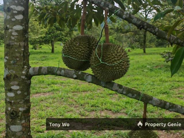 Property for sale in Tampin, Negeri Sembilan