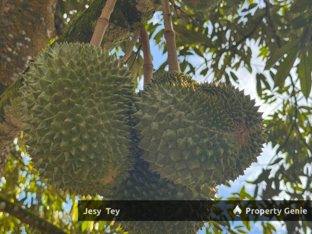 Property for sale in Batu Pahat, Johor