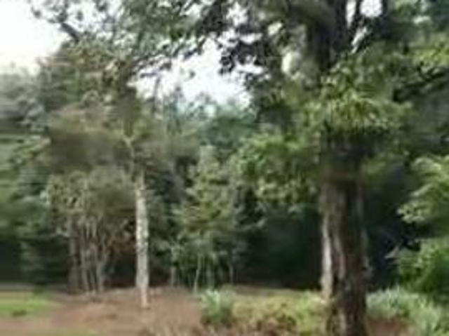 Shop for rent in Mantin, Negeri Sembilan