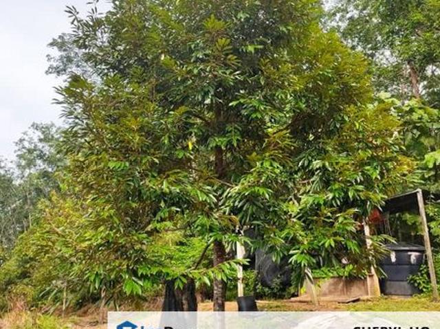 Shop for sale in Raub, Pahang