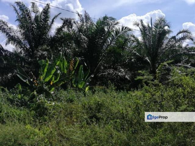 Shop for sale in Karak, Pahang