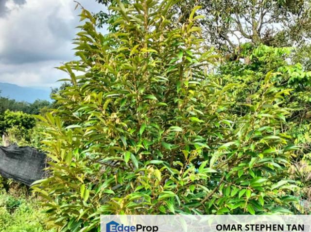 Shop for sale in Perak, Tanjong Malim