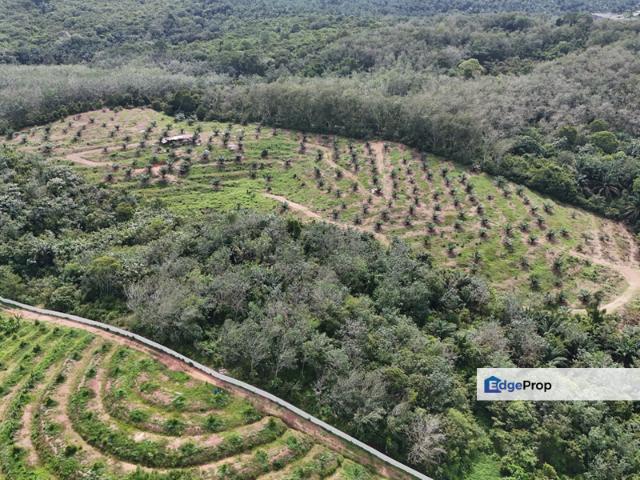 Shop for sale in Durian Tunggal, Malaka