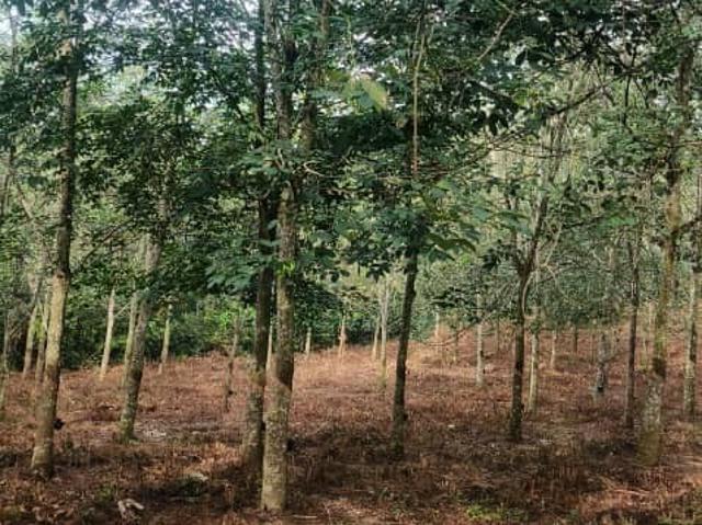 Property for sale in Durian Tunggal, Malaka