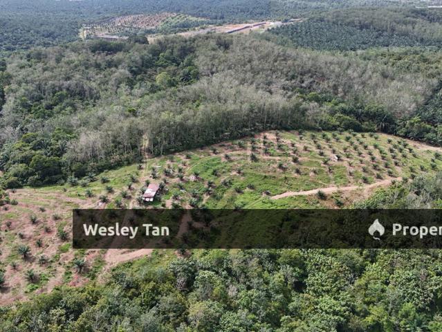 Property for rent in Durian Tunggal, Malaka