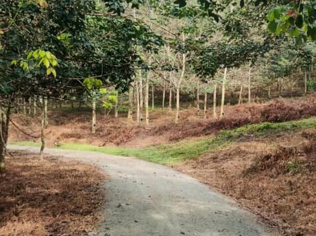 Property for sale in Durian Tunggal, Malaka