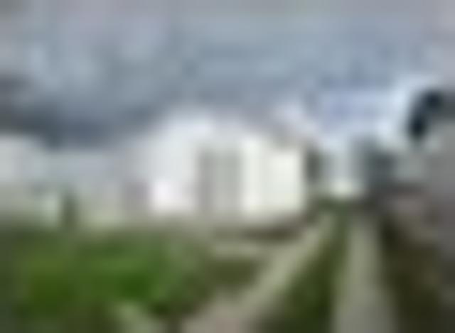House for rent in Wanganui District