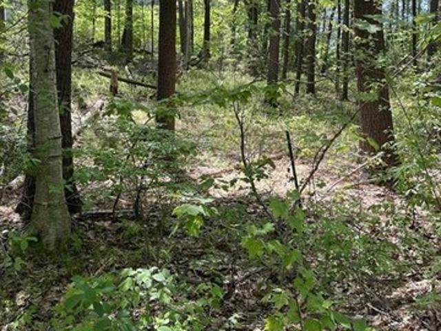 Land for sale in Westford, Massachusetts